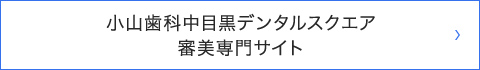 小山歯科中目黒デンタルスクエア審美専門サイトへのリンクボタン